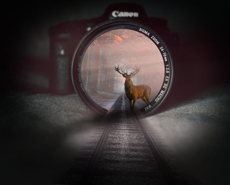 Magical Dimensions